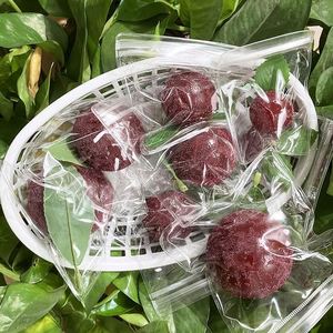 Jouet de décompression musical créatif en forme de fruit Yangmei, jouet sensoriel à pincer en forme de Yangmei - Product Image 4