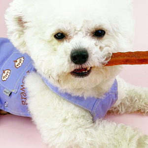 L'essiccazione all'ingrosso per animali domestici tratta strisce di <span class=keywords><strong>agnello</strong></span> e anatra essiccate ricche di nutrienti che il cane tratta la ricompensa per l'addestramento del cucciolo spuntini per <span class=keywords><strong>cani</strong></span> - Product Image 4