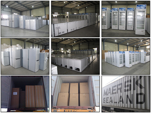 Réfrigérateur à congélateur inférieur à énergie <span class=keywords><strong>solaire</strong></span> - Product Image 5