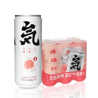 Boissons douces avec saveur de fruits, sans graisse, Soda, eau scintillante, sans calories, vente en gros, ml