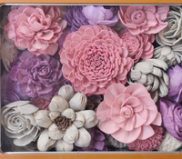 Diffuseur de parfum en bois de Sola aux styles variés, fleurs séchées naturelles faites à la main, accessoires pour diffuseur à bâtonnets, décoration d'intérieur personnalisable