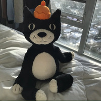 Peluche chat noir mignon en gelée, à poils courts, rembourrée en éponge, pour cadeau