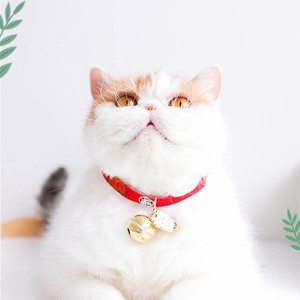 Collar personalizado de animales pequeños para gatos, bonito collar de poliéster para mascotas con colgante de campana de Metal y hebilla de seguridad para perros y cachorros - Product Image 4