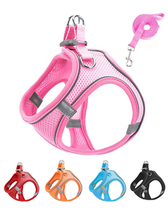 Harnais et laisse réfléchissants et respirants en nylon pour animaux de compagnie, gilet en maille douce antidérapant pour chats et petits chiens - Product Image 1