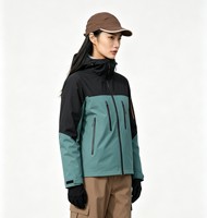 Veste de ski unisexe isolée, imperméable, coupe-vent, respirante, grande taille, à capuche, pour les sports de neige et les activités de plein air