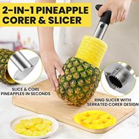 Coupe-ananas en acier inoxydable avec diviseur en forme de cale, éplucheur manuel et dénoyauteur de fruits