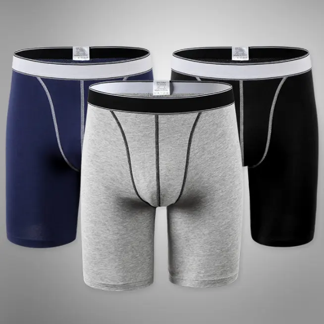 Celana Boxer Pendek Pria, Celana Pendek Kartun G Penis, Pakaian Dalam Seksi Ukuran Plus untuk Pria