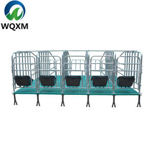 Parcs de Mise Bas Galvanisés pour Truies, Stalles de Gestation pour Porcs, Colonnes de Limitation, Équipement d'Élevage - Product Image 2