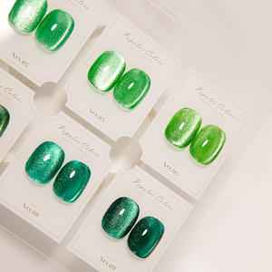 AILANUO 9 couleurs oeil de chat Gel Net rouge populaire vernis à ongles costume haute qualité manucure outils bouteille mode européenne américaine - Product Image 4