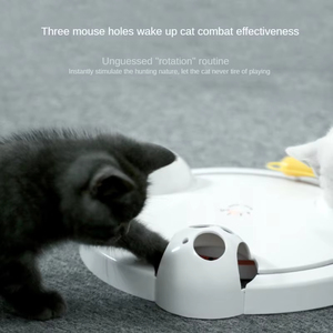 Juguete de Plástico Moderno y Ecológico con Ratón Giratorio, Fácil de Limpiar, para Juego Interactivo - Product Image 4