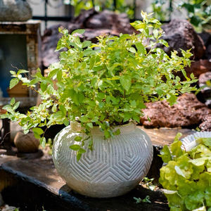 Macetas <span class=keywords><strong>de</strong></span> <span class=keywords><strong>cactus</strong></span> <span class=keywords><strong>suculentas</strong></span> personalizadas, decoración <span class=keywords><strong>de</strong></span> balcón, minimacetas <span class=keywords><strong>de</strong></span> flores <span class=keywords><strong>de</strong></span> cemento <span class=keywords><strong>y</strong></span> jardineras - Product Image 2