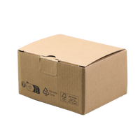 Boîte ondulée avec insert protecteur pliable Boîte d'emballage imprimée robuste pour l'électronique et le commerce électronique