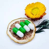 Capsules de champignons Reishi pour le bien-être quotidien