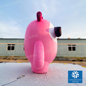 <span class=keywords><strong>Personaggio</strong></span> dei cartoni animati gonfiabile gonfiabile della mascotte gigante della mascotte della mascotte gonfiabile su misura all'aperto <span class=keywords><strong>di</strong></span> 5m - Product Image 2