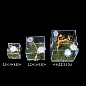 Terrario per Ragni Saltatori - Piccolo Contenitore Non-Captive per l'Esposizione - Trasportino per Insetti Ragni Saltatori della Florida con Umidificatore e Porta per l'Alimentazione - Product Image 2
