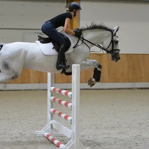 Competição Padrão Portátil Equestrian Show Obstáculos Alta Qualidade Cavalo Salto PVC Pólos Alumínio Estável Saltos - Product Image 1