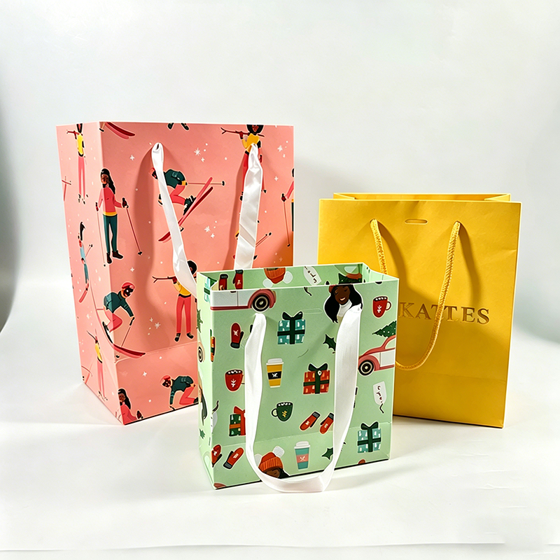 Assorted Holiday Christmas Gift Bags Ski
