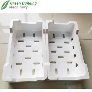 Supply EPS foam fruit and vegetable box mold polystyrene mold packing box, EPS fish box, Cooler