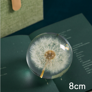 Özel 3D 7cm 8cm 9cm reçine orb doğal çiçek bitki gerçek karahindiba <span class=keywords><strong>Paperweight</strong></span> yılbaşı hediyeleri kristal cam ev dekor - Product Image 5