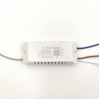 Controlador LED de 2.4G con Tres Temperaturas de Color, Aislado, con Función de Memoria y Control Remoto, en Plástico