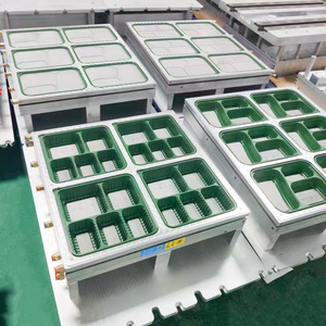 <span class=keywords><strong>Caja</strong></span> de Frutas de Aluminio Moldeada por Inyección Marca Fulair Personalizada de Fábrica, Bandeja de Plástico con Succión para Comida, Modelo Personalizado para Moldeo - Product Image 3