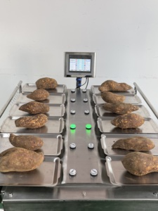 Semi-automatic Manual 12 Plates Scales Grape mango Combination <strong>Weighing</strong> Weigher for Packing <strong>Machine</strong> - Product Image 5