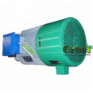 Générateur à aimants triphasé AC de 24 KW 750 tr/min pour projet hydroélectrique fluvial - Product Image 5