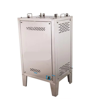 Chaudière à vapeur à gaz GPL automatique 40-120 kg/h, générateur de vapeur, machine de production de lait de soja et de jus, chauffage d'appoint, chaudière 103 C