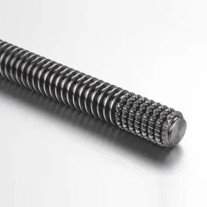 Tornillo de plomo de varilla roscada, mecanizado de acero inoxidable 303 304 CNC