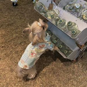 [618] Camiseta para mascotas Dopamine, estilo fino y transpirable para primavera/verano, ropa antidesprendimiento para Bichón Frisé, Teddy, perros pequeños y gatos - Product Image 4