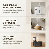 Diffuseur d'arômes en gros pour hôtels, huile essentielle parfumée pour la maison, huile parfumée pour diffuseur à bâtonnets