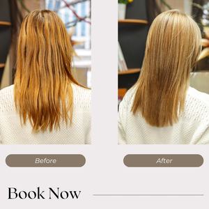 Nhãn Hiệu Riêng Sản Phẩm Chăm Sóc Tóc Tchy Điều Trị Da Đầu Nhật Bản Xây Dựng Gừng Chống Hói Tăng Trưởng Dầu Gội Đầu Cho Rụng Tóc - Product Image 6