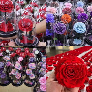 <span class=keywords><strong>Rosas</strong></span> Eternas Más Vendidas, <span class=keywords><strong>Flores</strong></span> para el Día <span class=keywords><strong>de</strong></span> San Valentín y el Día <span class=keywords><strong>de</strong></span> la Madre, Flor Preservada Eterna, <span class=keywords><strong>Rosas</strong></span> Eternas en Cúpula <span class=keywords><strong>de</strong></span> Cristal con Luz Led - Product Image 6