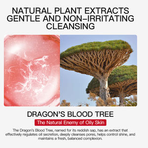 คอร์เมซิค ขายส่ง โฟมล้างหน้าสูตรอ่อนโยนจากพืชธรรมชาติ 150 มล. ไม่ระคายเคือง ดรงค์ส์บลัดทรี คลีนซิ่งมูส เฟเชียลคลีนเซอร์ - Product Image 3