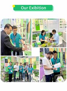 ที่เก็บถุงเก็บอุจจาระสุนัขแบบแฮนด์ฟรี เป็นมิตรกับสิ่งแวดล้อม แข็งแรง ทนทาน ย่อยสลายได้เองตามธรรมชาติ ราคาประหยัด ORIZON PBAT+PLA+แป้งข้าวโพด - Product Image 6