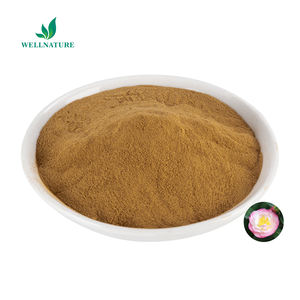 カメリアフラワーエキスパウダーカメリアジャポニカフラワーエキス工場直販高品質ベストプライス - Product Image 3