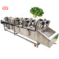 Machine de nettoyage de raisin de lavage de pomme industrielle à haut rendement Machine à carottes Machine à laver et à sécher les légumes à l'ozone Prix