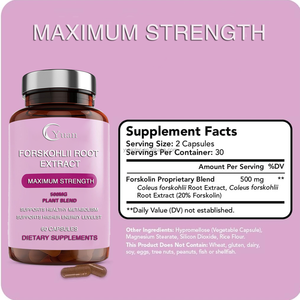 OEM ODM Ekstrak Akar <span class=keywords><strong>Forskolin</strong></span> Berkualitas Tinggi 20% Kekuatan Maksimum untuk Kapsul Penurun Berat Badan Mendukung Metabolisme Sehat - Product Image 4