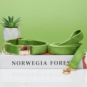 Collier pour <span class=keywords><strong>chien</strong></span> <span class=keywords><strong>en</strong></span> velours personnalisé avec boucle <span class=keywords><strong>en</strong></span> métal gravée, collier et <span class=keywords><strong>laisse</strong></span> réglables pour la promenade - Product Image 5