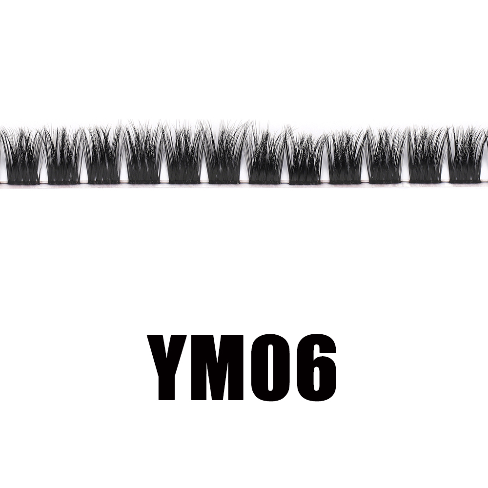 YM-06