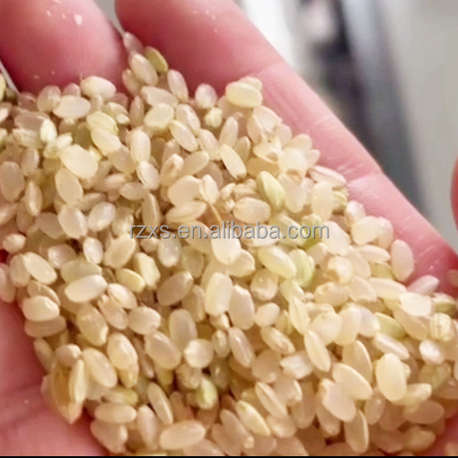 European standard quality 1500-2000 kg per hour mini auto ctnm15b rice mill machine