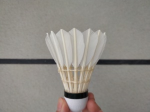 Volant de <span class=keywords><strong>badminton</strong></span> en plumes de canard, volant de <span class=keywords><strong>badminton</strong></span> en plumes de canard, volant de <span class=keywords><strong>badminton</strong></span> en plumes de canard - Product Image 4