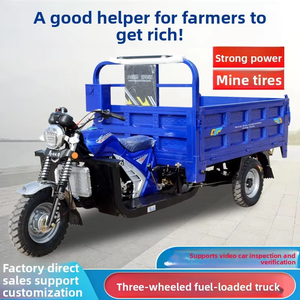 Nouveau style en promotion : Tricycle 200cc personnalisable, pour passagers et marchandises, moto à essence à trois <span class=keywords><strong>roues</strong></span> - Product Image 2