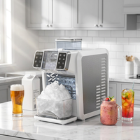Machine à smoothies et glaçons professionnelle 2-en-1 SC-6201 Shinechef, portable, entièrement automatique, silencieuse, pour cocktails d'hôtel