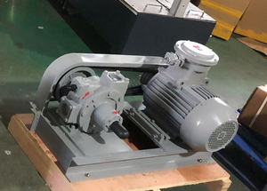 ปั๊มถ่ายโอนก๊าซ LPG ปั๊มโพรเพน ปั๊มเติมก๊าซทำอาหาร - Product Image 5