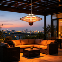 Chauffe-terrasse infrarouge suspendu haute efficacité 1000 W, chauffe-plafond pour salle de sport, salon extérieur, terrasse