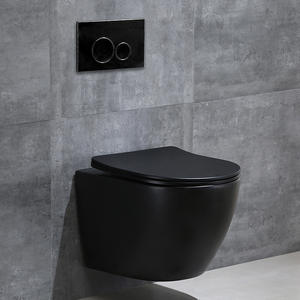 Citerne murale dissimulée Dg162 pour toilettes, siphon en S, espacement entre les trous de 380 mm, économie d'eau, pour usage domestique et hôtelier - Product Image 2