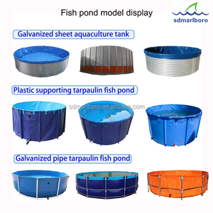 <span class=keywords><strong>Bassin</strong></span> d'aquaculture extra large en <span class=keywords><strong>plastique</strong></span>, <span class=keywords><strong>bassin</strong></span> de pisciculture en bâche, étang à poissons <span class=keywords><strong>hors</strong></span> <span class=keywords><strong>sol</strong></span>, réservoir d'élevage de poissons - Product Image 3
