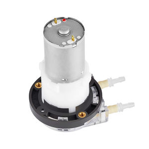 蓬浦12v直流有刷电机40mLPM迷你蠕动泵24v水泵BPT管低价 - Product Image 4