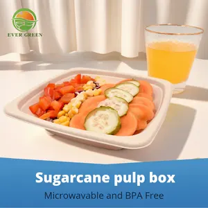 Takeaway Square Bowl Biodegradable Compostable Sugarcane Pulp Salad Bowl Disposable Substitute Takeout Takeaway Food Packaging